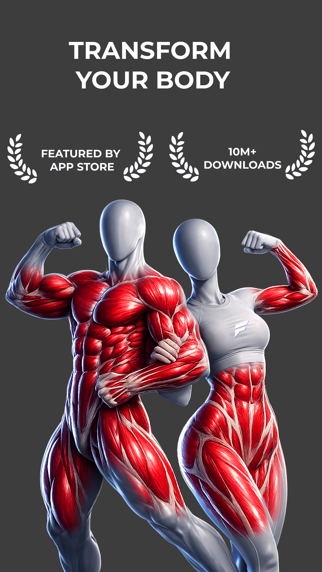 Fitonomy anatomy view